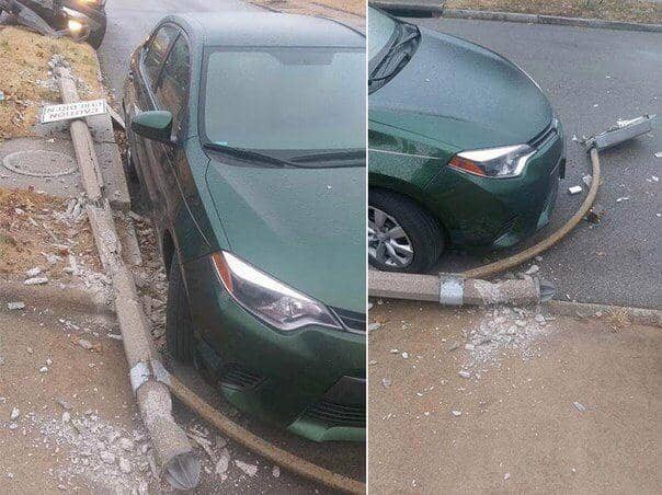 potret momen beruntung (pikabu.ru/@Omichhh)