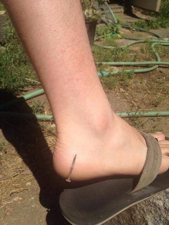 potret momen beruntung (pikabu.ru/@orangeoranger)