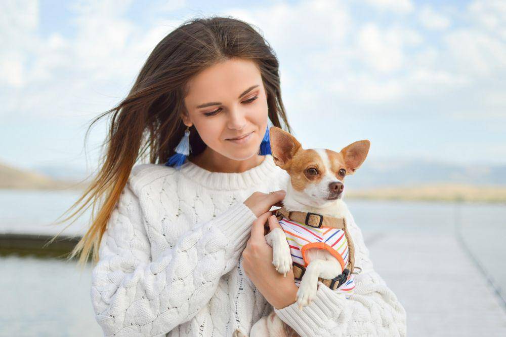 ilustrasi anjing dengan pemilikny (unsplash.com/tamarabellis)