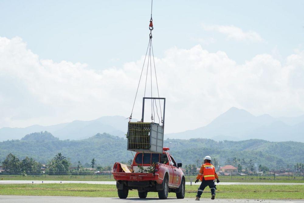 Agincourt Sediakan Helikopter untuk Pelepasliaran Harimau Sumatra