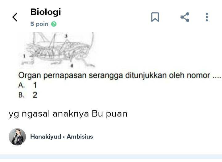 pertanyaan nyeleneh Brainly (brainly.co.id/mapel/biologi)