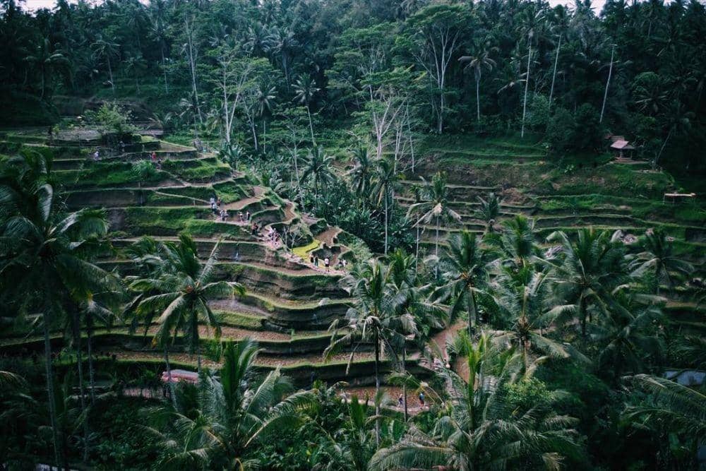 instagram.com/nnattawin