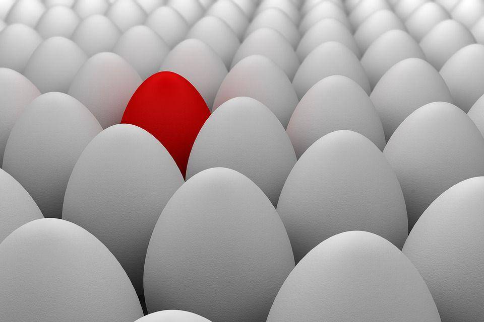 ilustrasi stand out (pixabay.com)