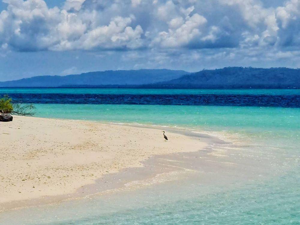 10 Potret Pulau Kokoya di Morotai, Keindahan Biota Lautnya Eksotis