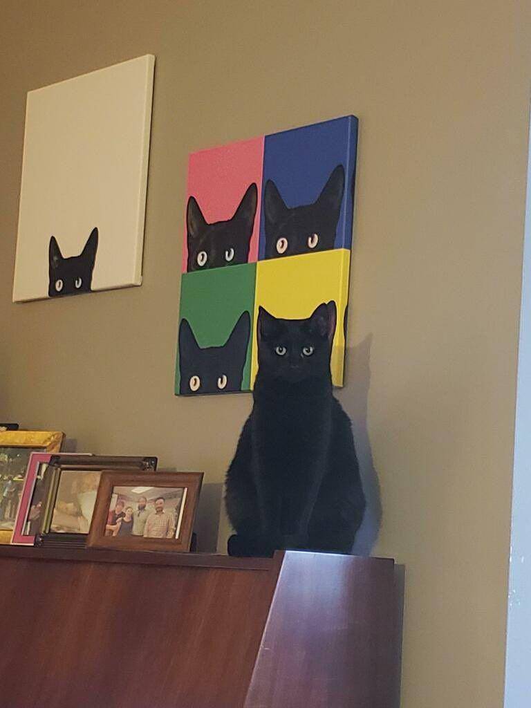 potret foto di momen yang tepat (reddit.com/user/Eli-Cohen)