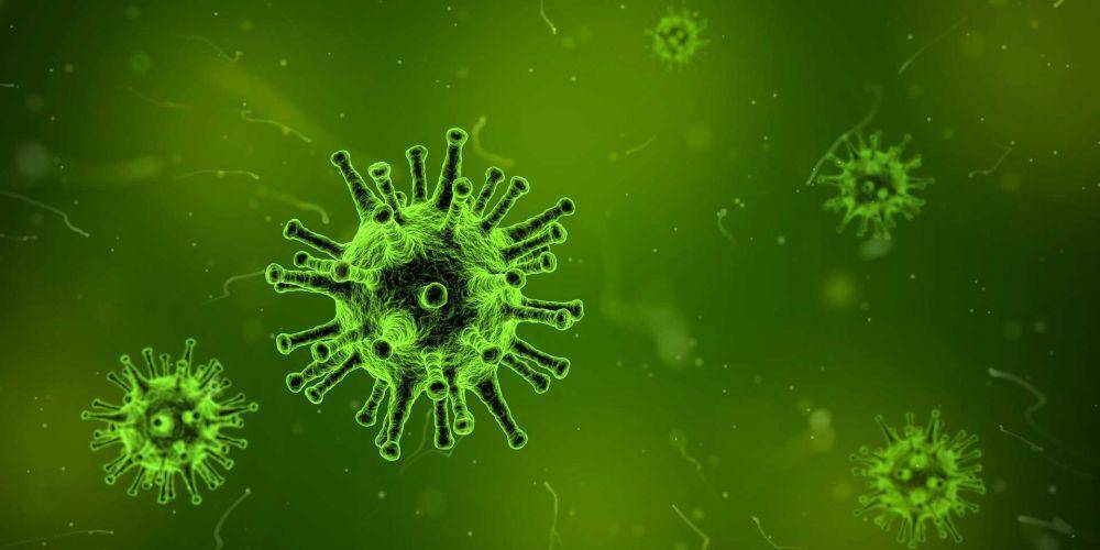 ilustrasi virus (pixabay.com/qimono)