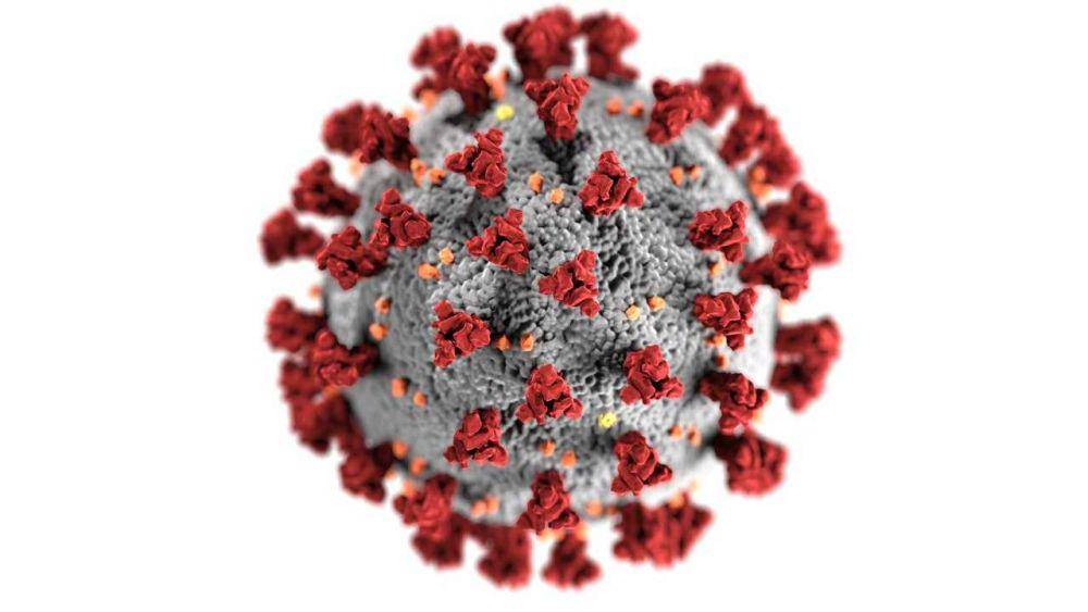 ilustrasi virus (pexels.com/CDC)