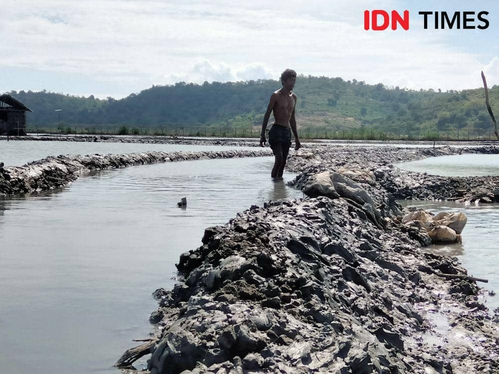 Foto warga di Kecamatan Palibelo sedang menambal pematang tambak yang amblas tergerus arus banjir rob, Selasa (14/6/2022).(Juliadin/IDN Times)