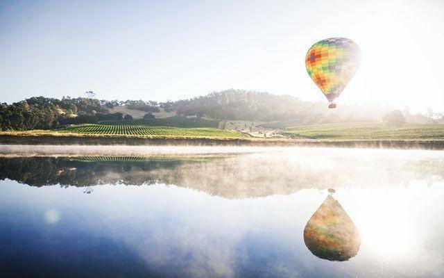 Potret pemandangan di Napa Valley, California (unsplash.com/sgabriel)