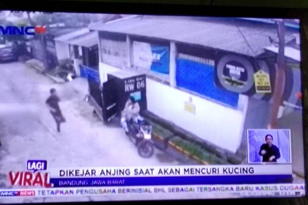 judul berita lucu tentang pencurian (twitter.com/tvindonesiawkwk)