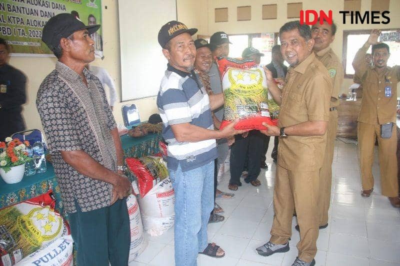 Plt Bupati PPU, Hamdam serahkan bantuan sarana produksi padi rawa ke perwakilan petani (IDN Times/Ervan)