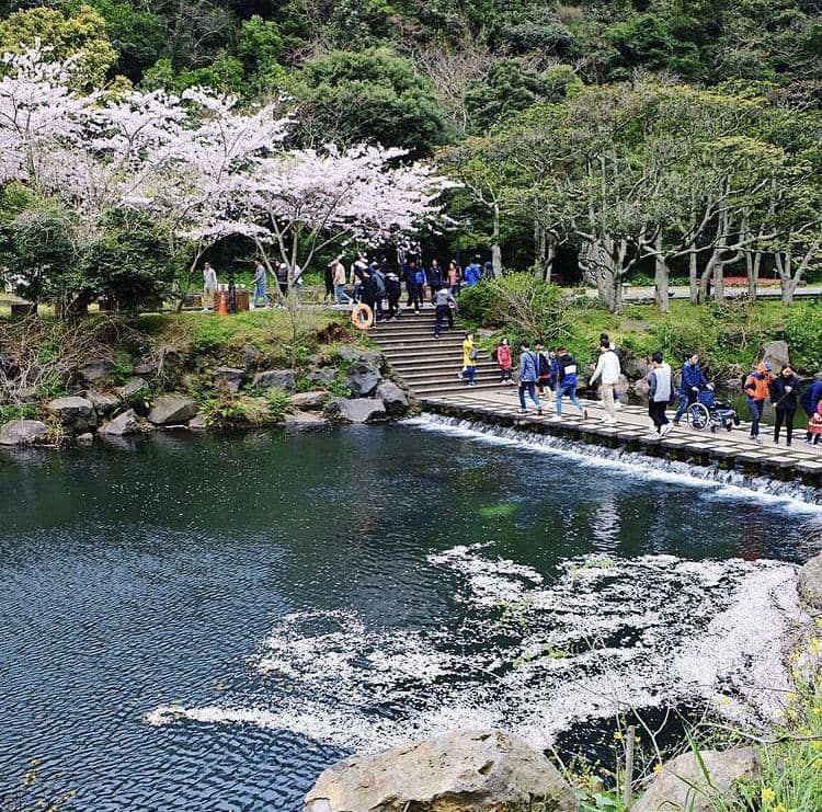 Air Terjun Cheonjiyeon (instagram.com/hungryinwanderland)
