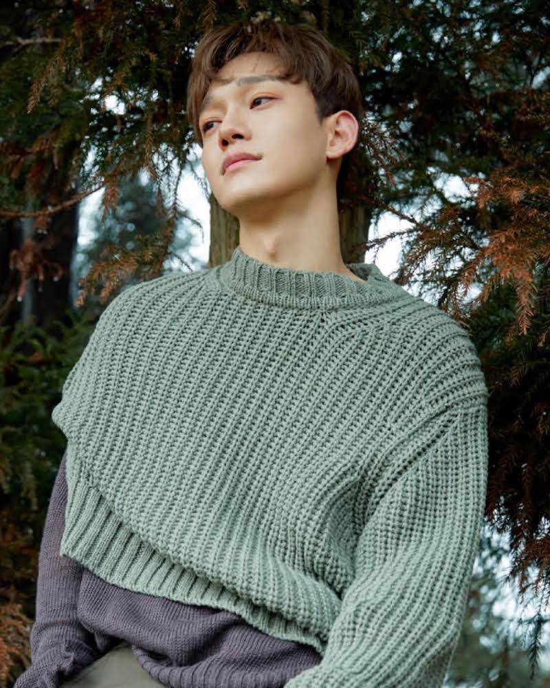 Chen EXO (instagram.com/weareone.exo)