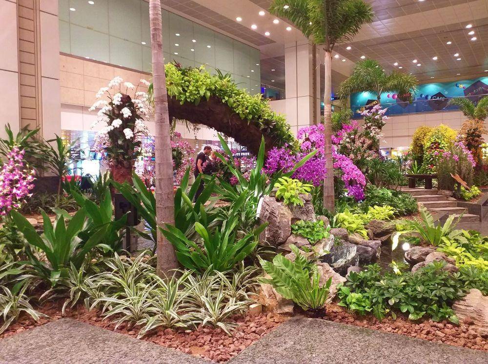 Orchid Garden, Bandara Changi Singapore (pinterest.com/theorchidlens)
