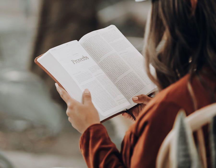 Ilustrasi membaca buku. (unsplash.com/Joel Muniz)
