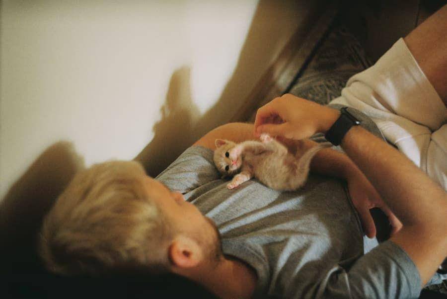 ilustrasi menggendong anak kucing (unsplash.com/andrew keymaster)