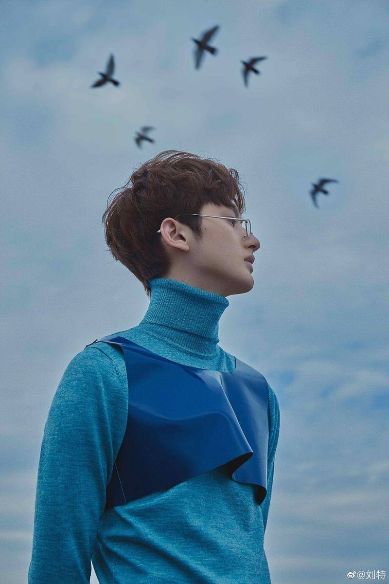 Liu Te (weibo.com/ 刘特)