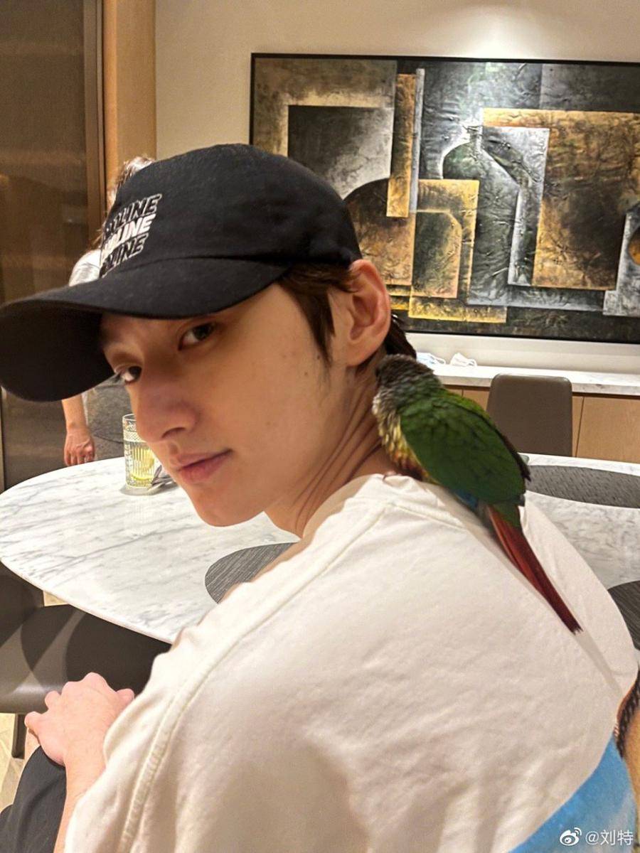 Liu Te (weibo.com/ 刘特)