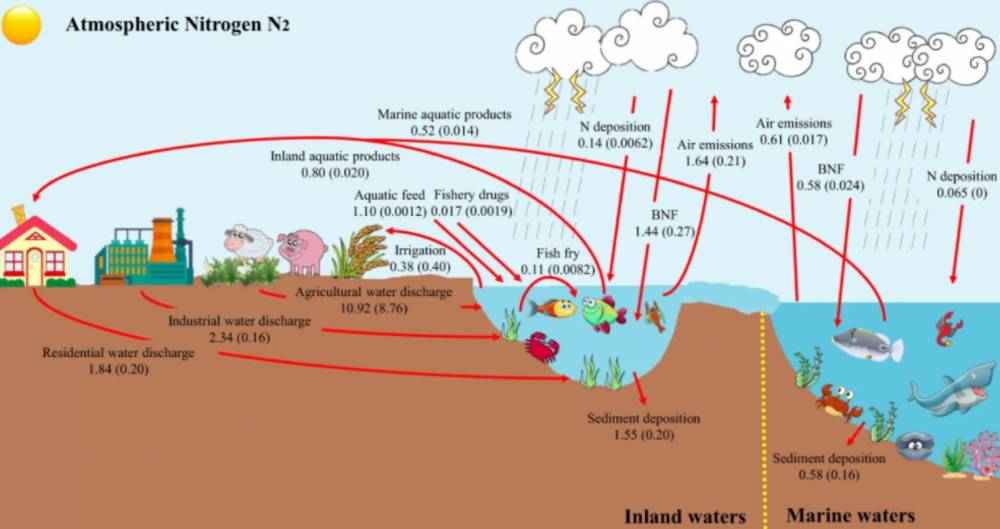 ilustrasi daur nitrogen (commons.wikimedia.org/Zhibo Luo, Shanying Hu & Dingjiang Chen)