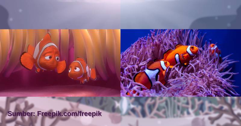karakter Marlin dan Nemo serta ilustrasi ikan badut (dok. Pixar Animation Studios/Finding Nemo | unsplash.com/David Clode)