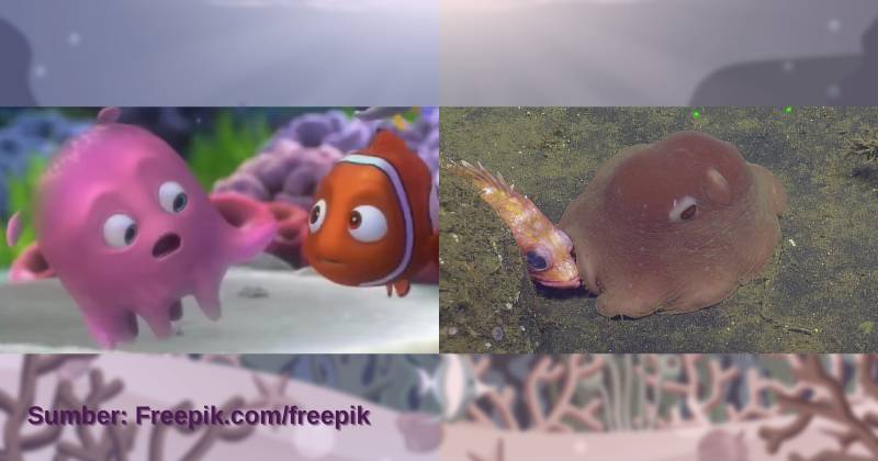 karakter Pearl dan ilustrasi flapjack octopus (dok. Pixar Animation Studios/Finding Nemo | flickr.com/National Marine Sanctuaries)