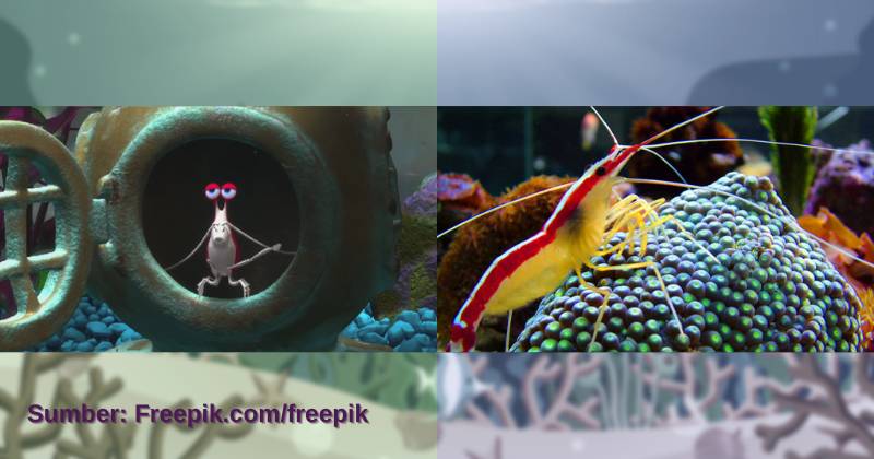 karakter Jacques dan ilustrasi udang pembersih (dok. Pixar Animation Studios/Finding Nemo | commons.wikimedia.org/Chris Moody)