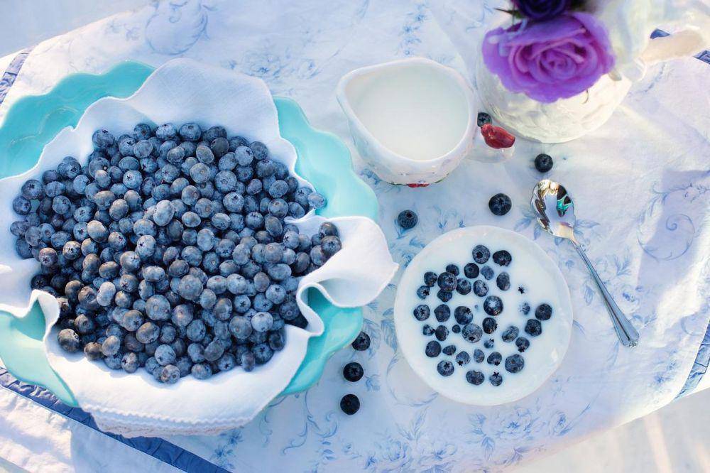 ilustrasi sumber makanan vitamin B2 atau riboflavin (pixabay.com/JillWellington)