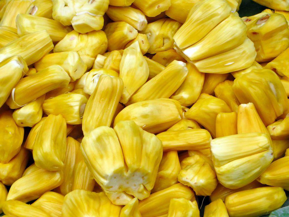 ilustrasi buah nangka (pixabay.com/dezalb-1045091/)