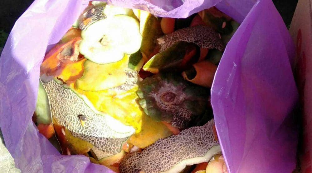Kulit buah buahan segar untuk bahan fermentasi.(Daruwaskita)
