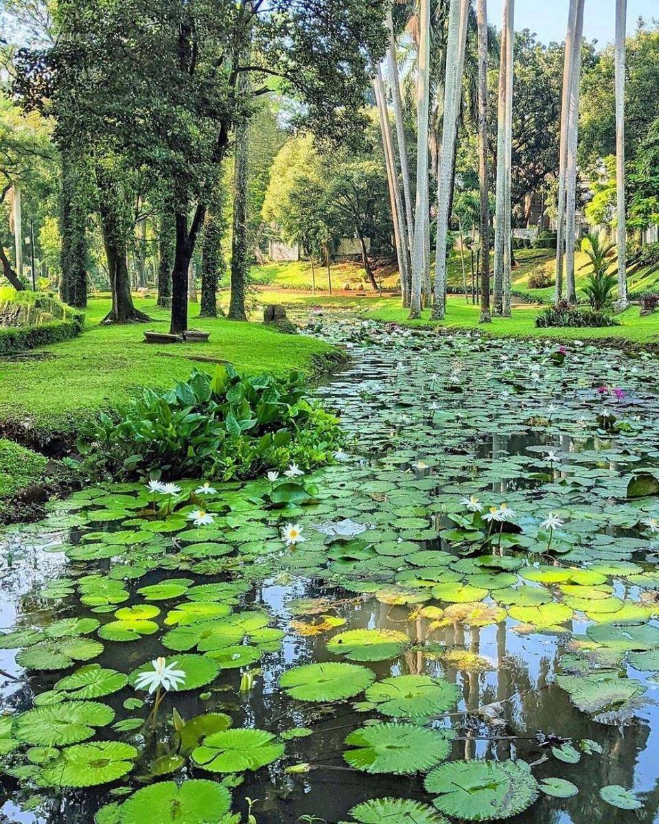 Taman Langsat (instagram.com/ijoeel)
