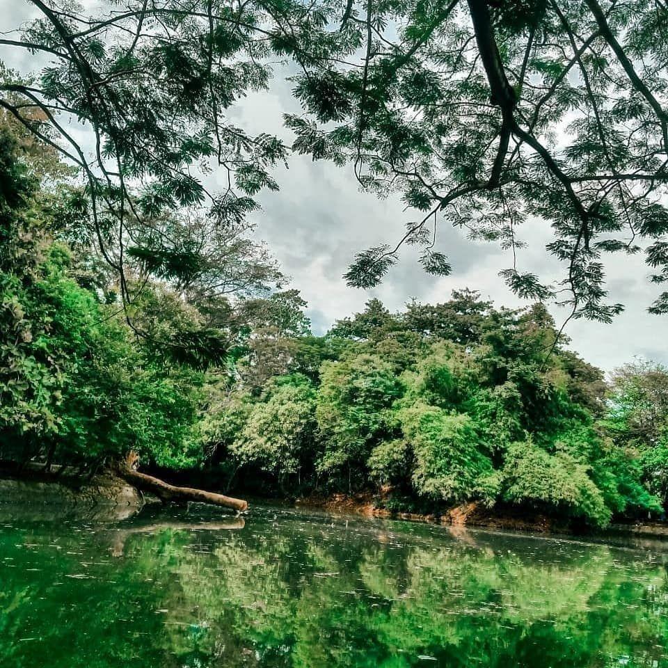 Hutan Kota Srengseng (instagram.com/tamanhutandki)