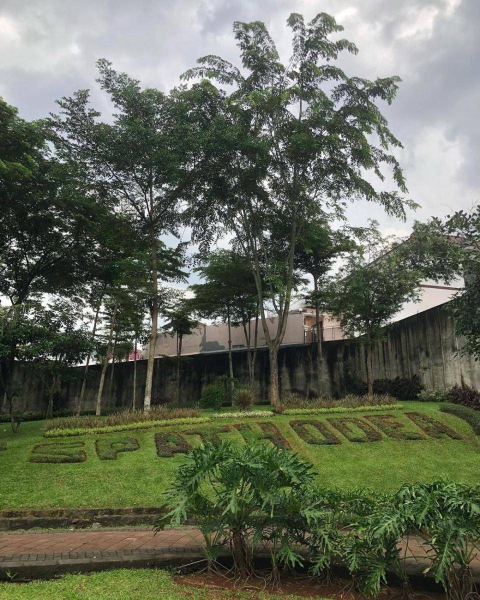 Taman Spathodea (instagram.com/temantaman.jkt)