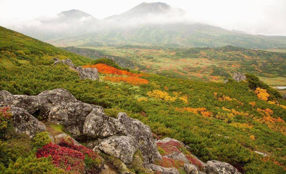 Daisetsuzan National Park (instagram.com/yamashitaphoto)