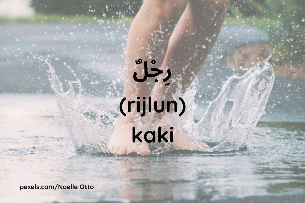 Ilustrasi kaki (Dok.pribadi/Maisix Dela Desmita)