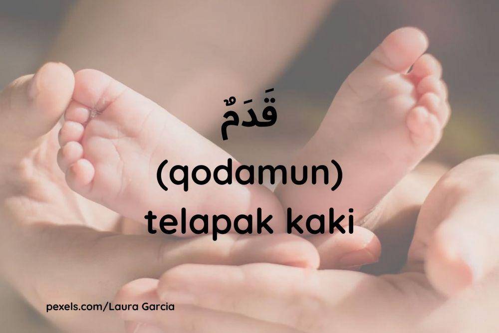 Ilustrasi telapak kaki (Dok.pribadi/Maisix Dela Desmita)
