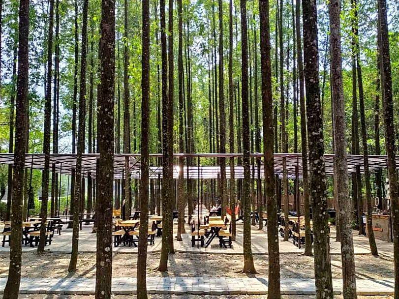 Hutan Kertas (instagram.com/hutan kertas)