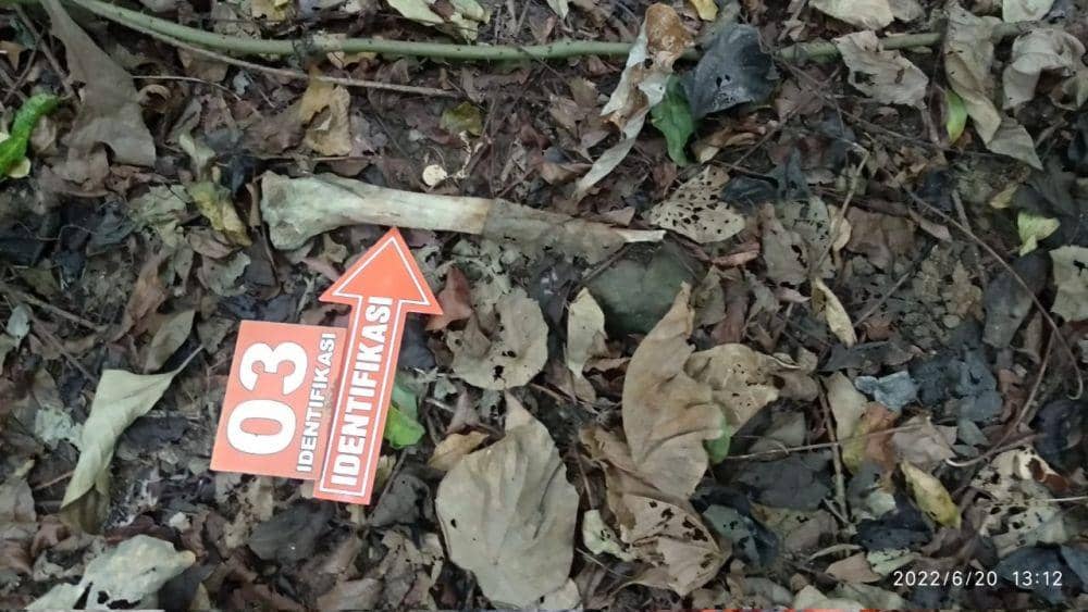 Tengkorak manusia yang ditemukan warga di Lombok Tengah. (Dok. Polres Lombok Tengah)