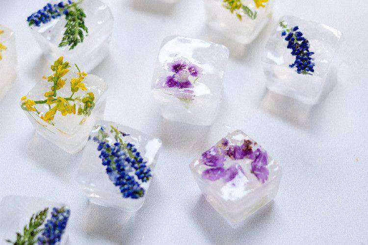 ilustrasi coconut water jelly cubes (pexels.com/cottonbro)