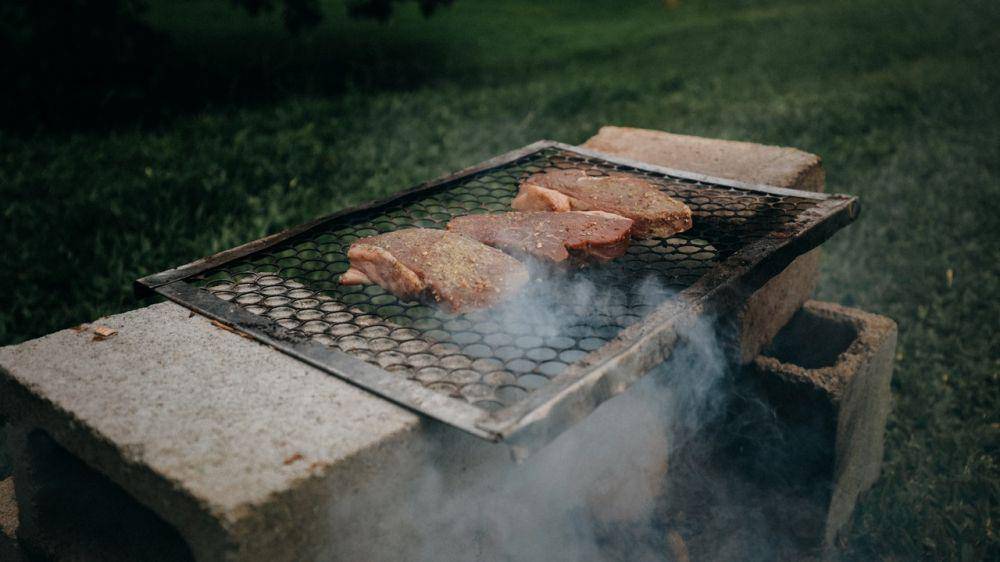 ilustrasi pengasapan daging (pexels.com/Matheus Bertelli)