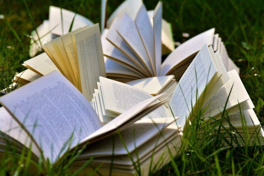 ilustrasi membuka buku (pexels.com/Pixabay)