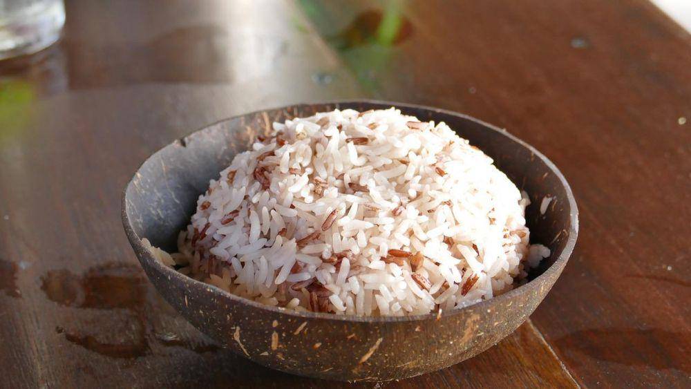 ilustrasi nasi air kelapa (pixabay.com/Constanze Riechert-Kurtze)