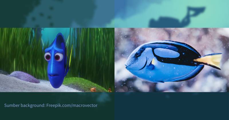 karakter Dory dan ilustrasi blue tang (dok. Pixar Animation Studios/Finding Dory | unsplash.com/Pawel Czerwinski)