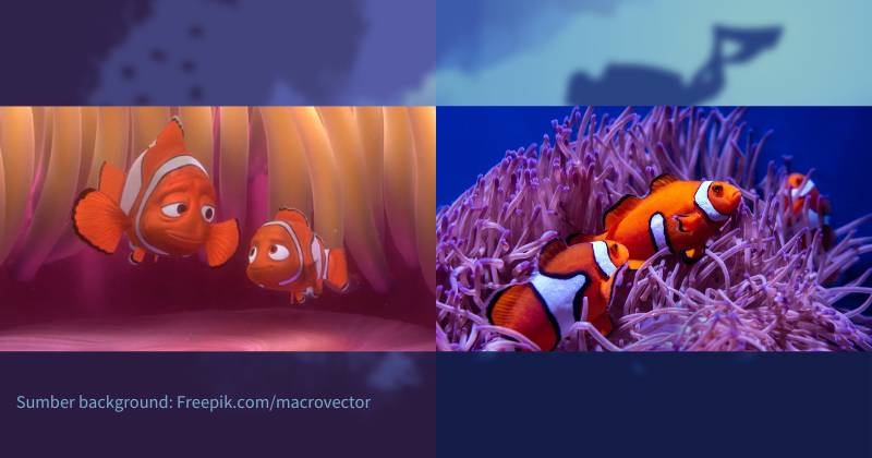 karakter Marlin dan Nemo serta ilustrasi ikan badut (dok. Pixar Animation Studios/Finding Nemo | unsplash.com/David Clode)