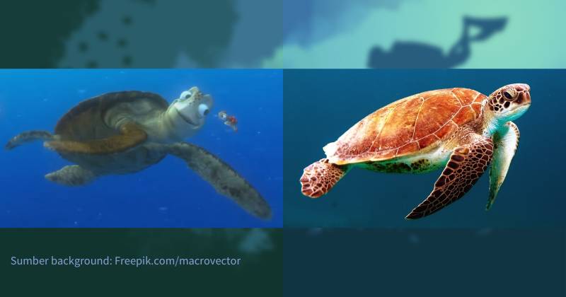 karakter Crush dan Squirt serta ilustrasi penyu laut (dok. Pixar Animation Studios/Finding Nemo | unsplash.com/Wexor Tmg)