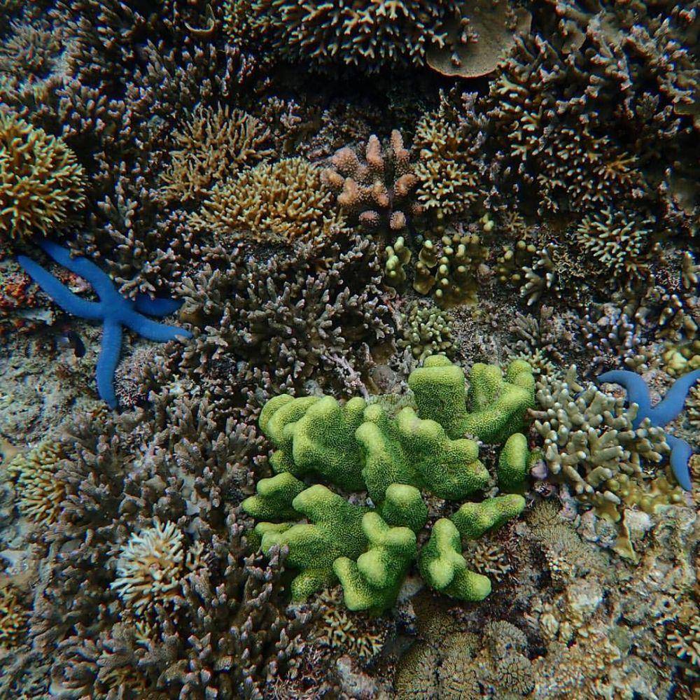 potret Pulau Pawole (instagram.com/13ican)