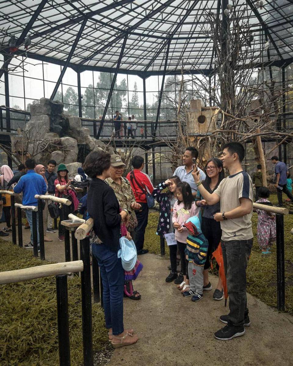 Potret Lembang Park and Zoo (instagram.com/lembang_parkzoo)