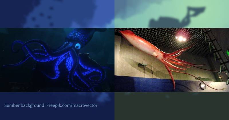karakter cumi raksasa dalam film dan replikanya di dunia nyata (dok. Pixar Animation Studios/Finding Dory | commons.wikimedia.org/Momotarou2012)