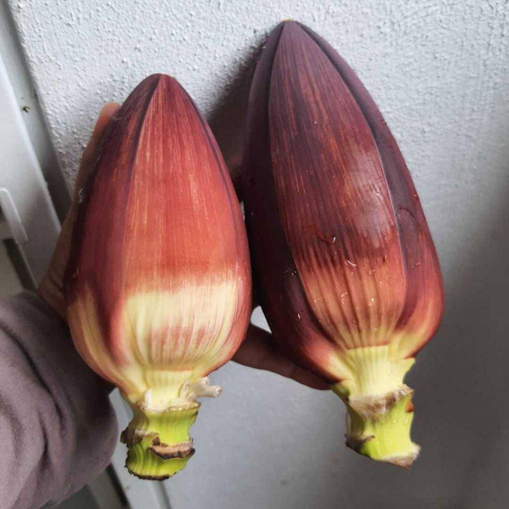 Jantung Pisang (instagram.com/nennie_khuzaifah97)