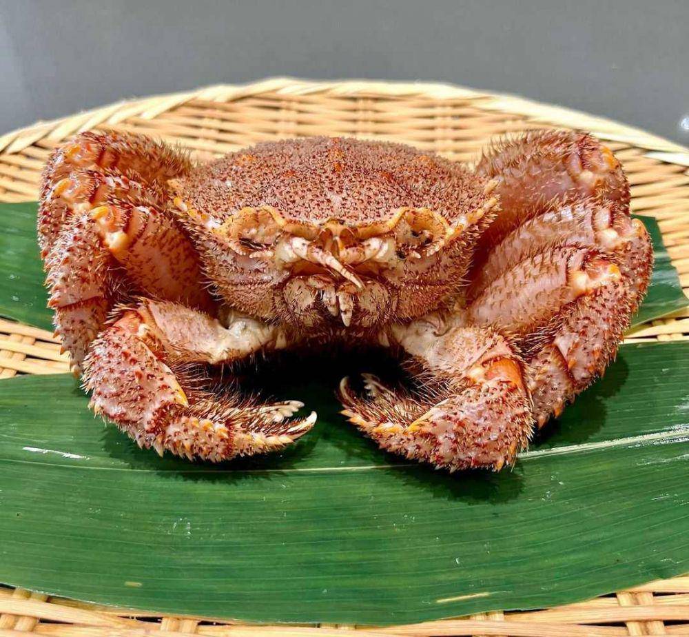 kepiting kegani Hokkaido (instagram.com/hinata_sf)
