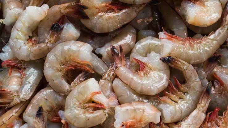 ilustrasi udang segar (seriouseats.com)